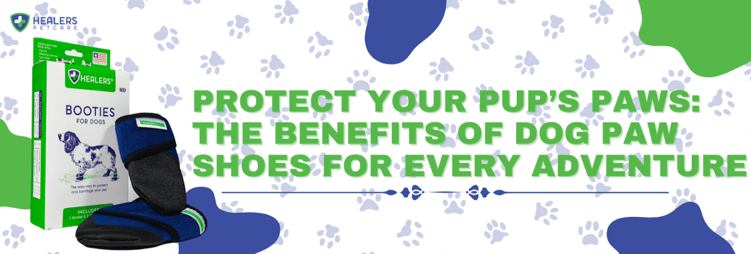 Protect Your Pup’s Paws: The Benefits of Dog Paw Shoes for Every Adventure