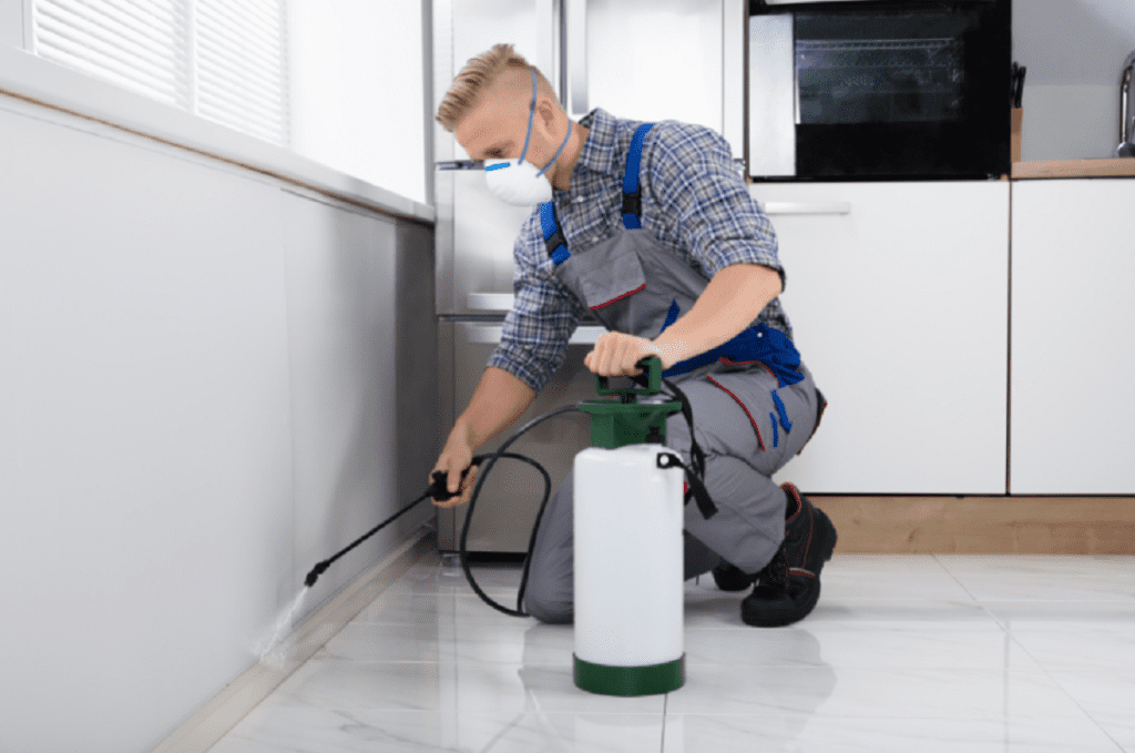 Professional Pest Control Greenville, Savvy Defense Techniques For Those Unwanted Guests