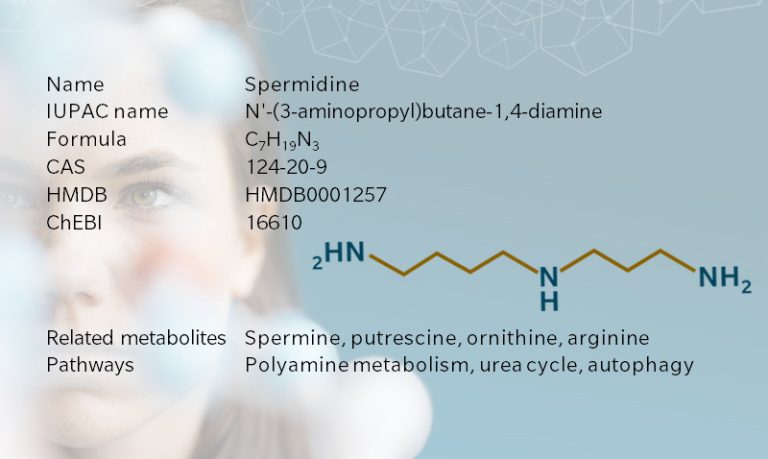 Unlocking the Health Potential of Spermidine: Nature’s Cellular Booster