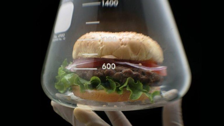 The Science Behind Texture: How Food Manufacturing Creates the Perfect Bite