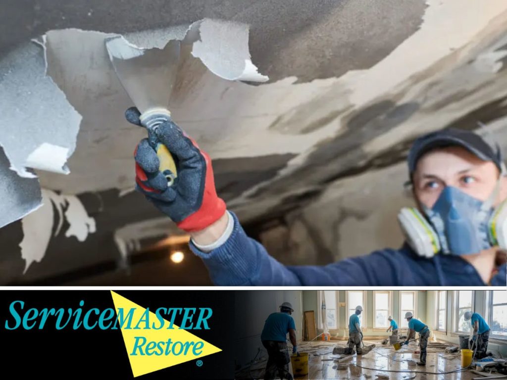 Is Mold Removal Worthy Investment? ServiceMaster Restore Can Help