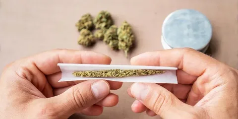 Why Pre-Rolled Joints Are Becoming the Go-To Choice for Modern Smokers