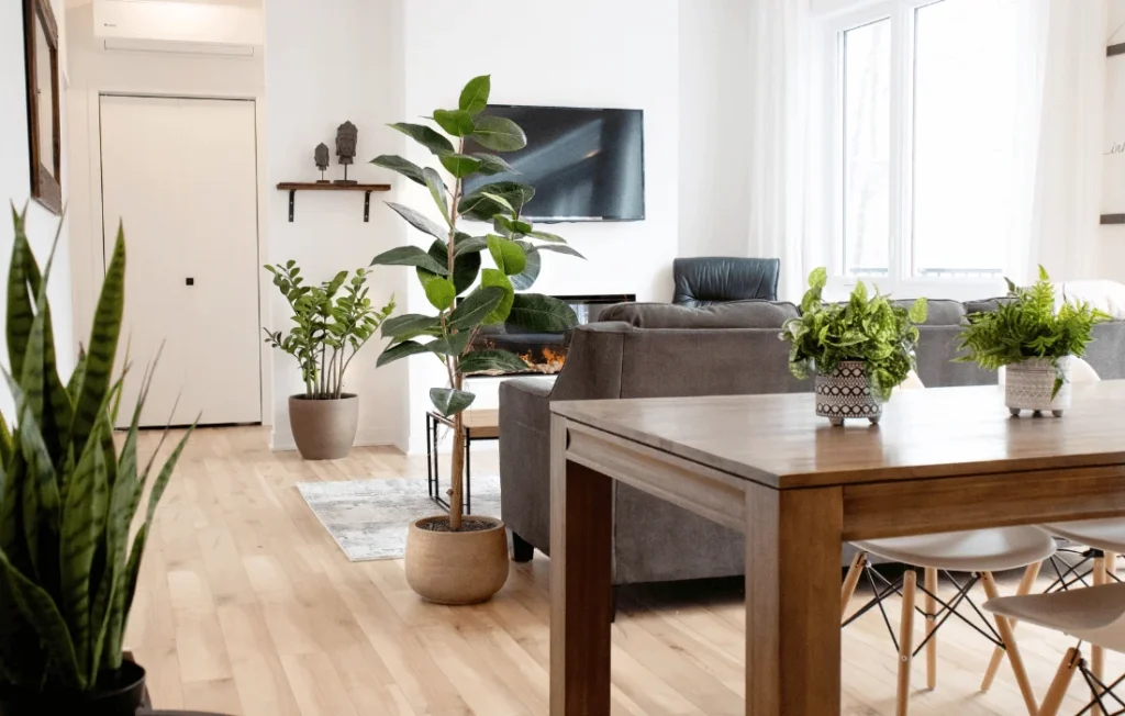 10 Stylish Ways to Decorate Your Home with a Fake Rubber Plant